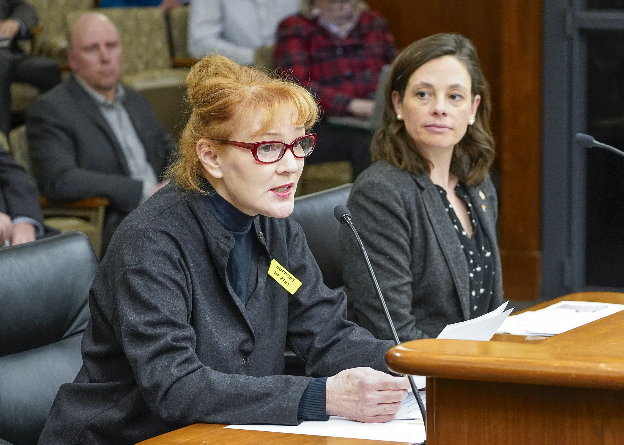 Representing the Minnesota Public Lands Coalition, Susan Schubert testifies before the House environment committee in support of a bill sponsored by Rep. Kristi Pursell, right, that would protect land, water quality and wildlife from the effects of using motorized recreational trails. (Photo by Andrew VonBank)
